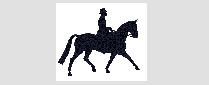 Pony Binici Toglar�/Kasklar�